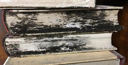 圖書發霉 圖書發霉