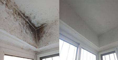墻面發(fā)霉-除霉效果對比圖