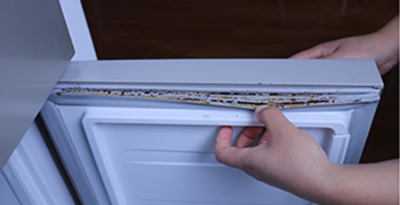 冰箱膠條發霉 冰箱膠條發霉