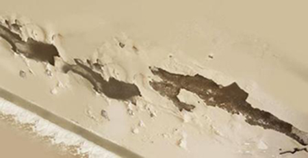 衛(wèi)生間墻面泛堿