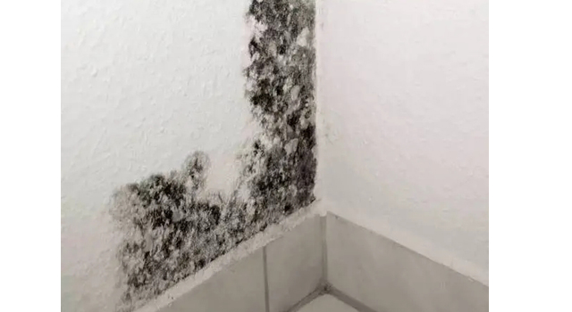 1658218019385890.jpg 00.jpg