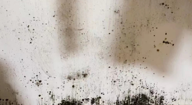 1658220757178868.jpg 白墻發霉.jpg