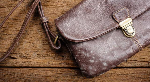 1658909235826371.jpg 皮革除霉.jpg