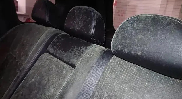 1663232266712219.jpg 汽車坐騎發霉.webp.jpg