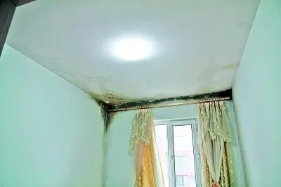 1663404205127619.jpg 房屋發霉.webp.jpg