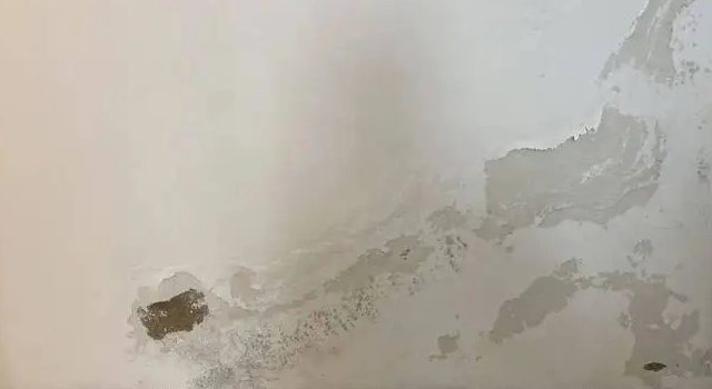 1664437592735140.jpg 墻壁泛堿.jpg